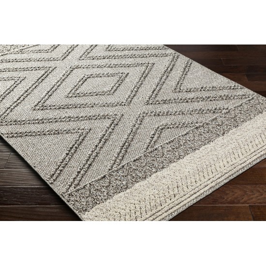 Surya Sarasota Rug 2' X 3'9"