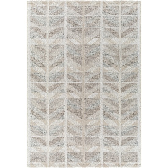 Surya Scandi Scd-2300 Tan Rug 2' X 3'