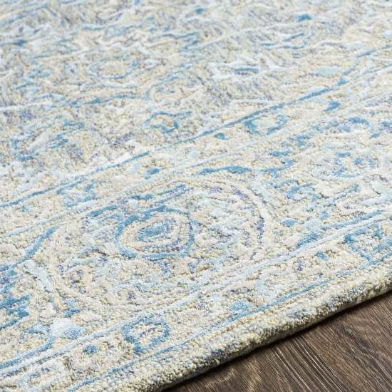 Surya Shelby Blue Rug 2' X 3'