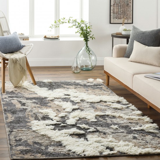 Surya Socrates Soc-2300 Cream Rug 2' X 3'