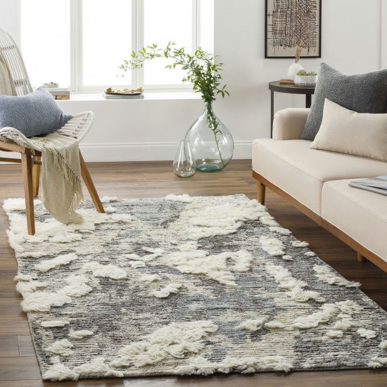 Surya Socrates Soc-2301 Cream Rug 2' X 3'