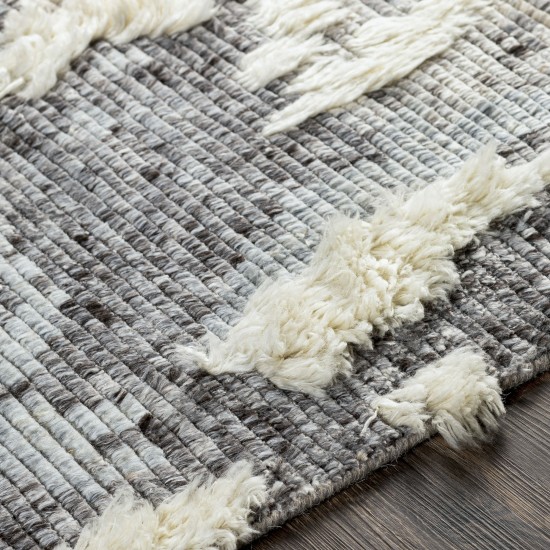 Surya Socrates Soc-2301 Cream Rug 2' X 3'