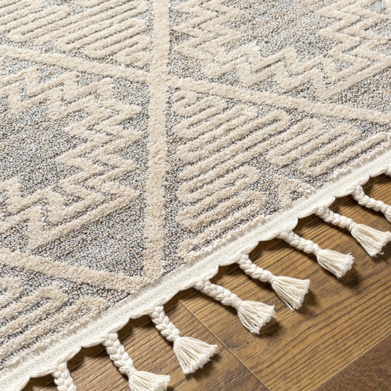Surya Sofia Sfa-2300 Rug 6'7" X 9'
