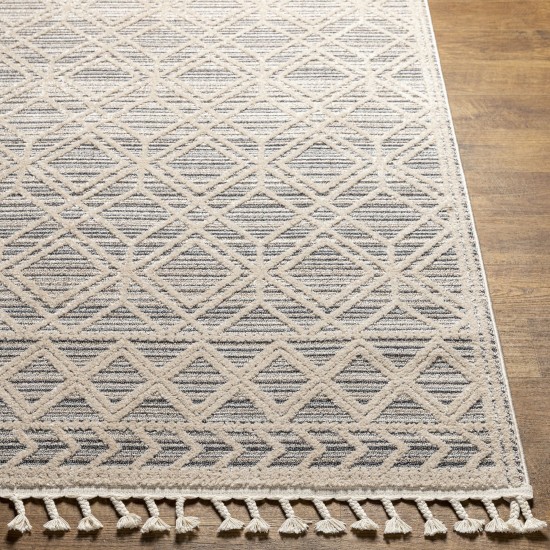 Surya Sofia Sfa-2301 Rug 6'7" X 9'