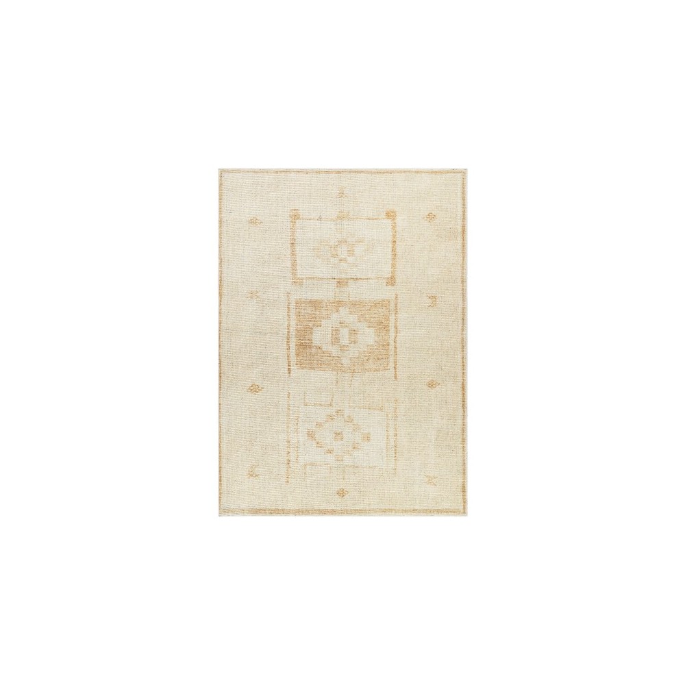 Surya Solana Booc-2300 Rug 3'11" X 5'7"