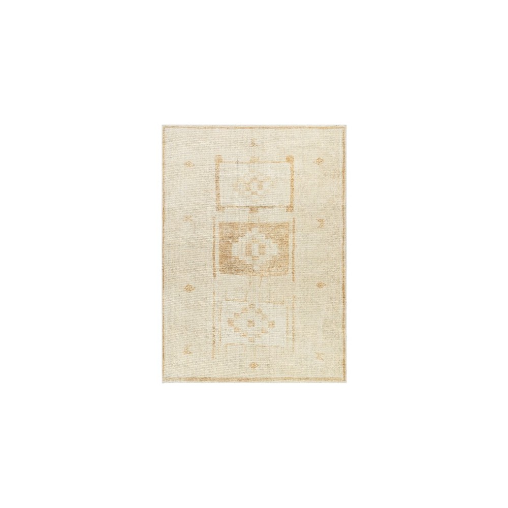 Surya Solana Booc-2300 Rug 5'3" X 7' Surya Solana Booc-2300 Rug 5'3" X 7'