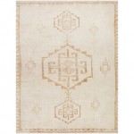 Surya Solana Booc-2301 Rug 3'11" X 5'7"