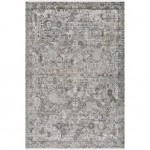 Surya Solar Sor-2313 Gray Rug 6'7" X 9'6"