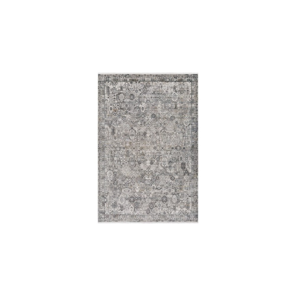 Surya Solar Sor-2313 Gray Rug 6'7" X 9'6"