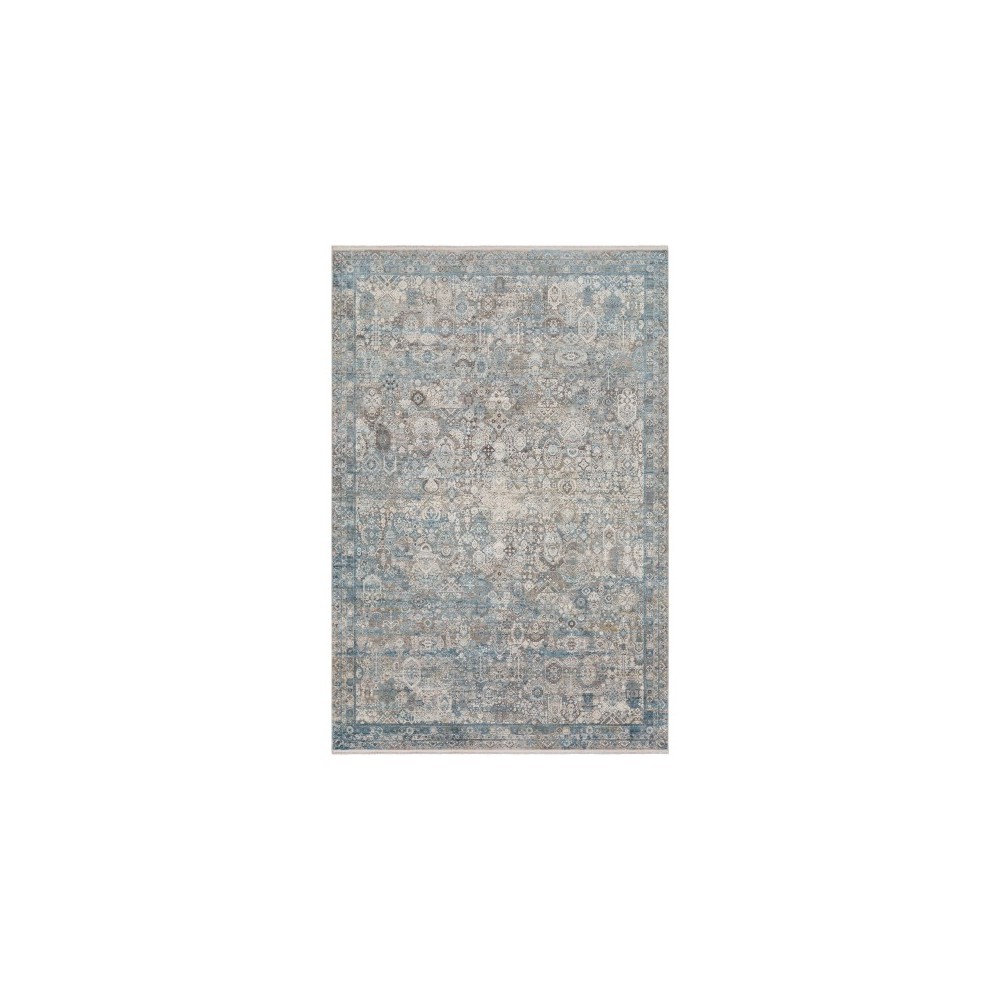 Surya Solar Sor-2314 Gray Rug 6'7" X 9'6"