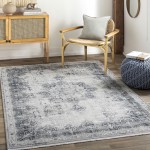 Surya Solar Sor-2315 Gray Rug 6'7" X 9'6"