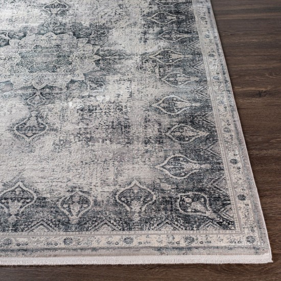 Surya Solar Sor-2315 Gray Rug 6'7" X 9'6"