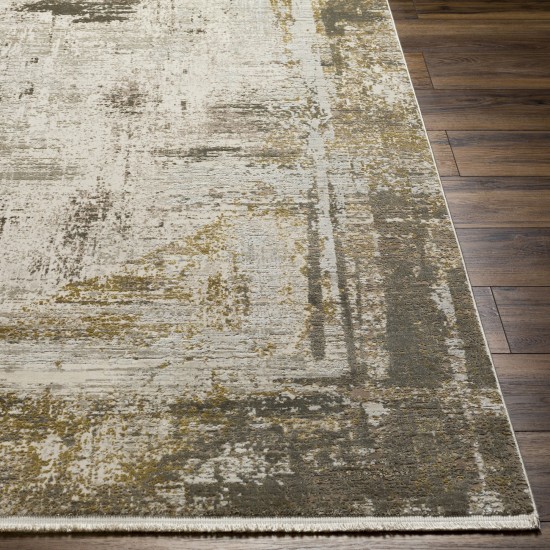 Surya Solar Sor-2318 Ivory Rug 6'7" X 9'6"