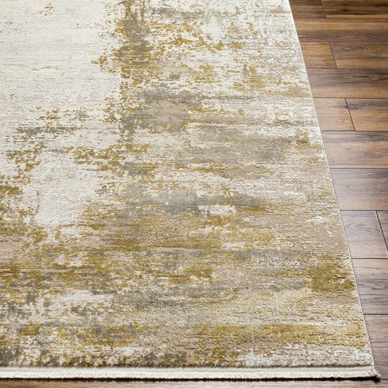 Surya Solar Sor-2322 Ivory Rug 3' X 5'