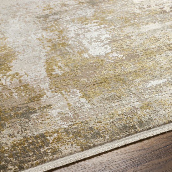 Surya Solar Sor-2322 Ivory Rug 3' X 5'