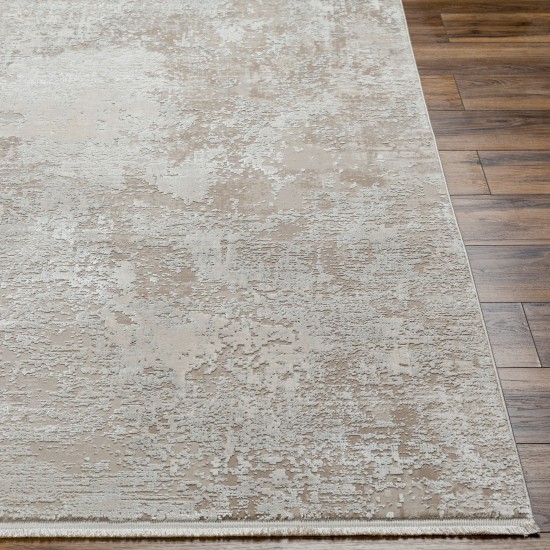 Surya Solar Sor-2324 Ivory Rug 3' X 5'