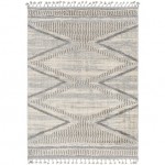 Surya Sousse Sus-2300 Gray Rug 4'2" X 5'7"