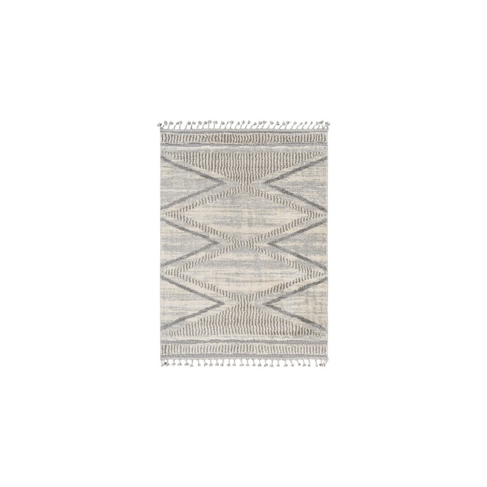 Surya Sousse Sus-2300 Gray Rug 4'2" X 5'7" Surya Sousse Sus-2300 Gray Rug 4'2" X 5'7"