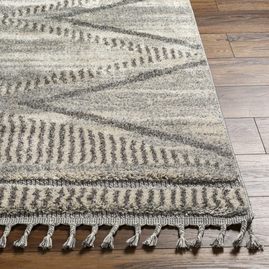 Surya Sousse Sus-2300 Gray Rug 4'2" X 5'7"