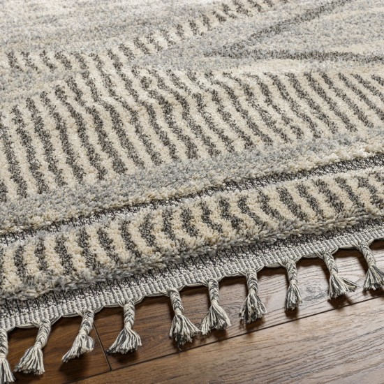Surya Sousse Sus-2300 Gray Rug 4'2" X 5'7"