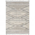 Surya Sousse Sus-2300 Gray Rug 5'6" X 7'3"