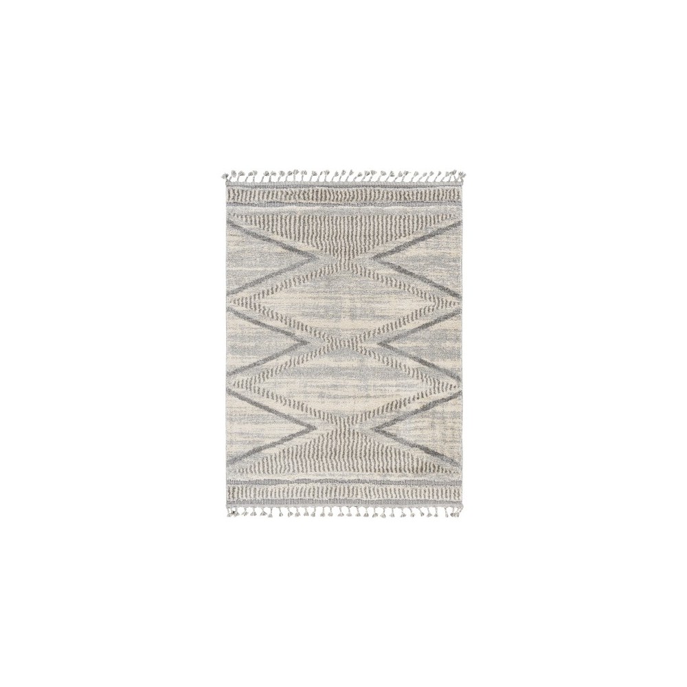 Surya Sousse Sus-2300 Gray Rug 5'6" X 7'3"