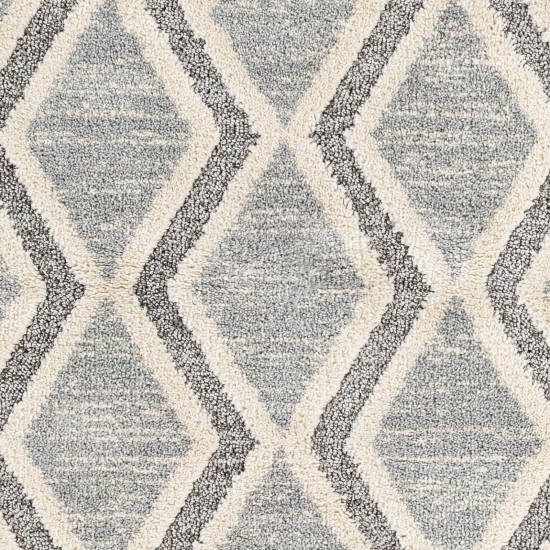 Surya Sousse Sus-2301 Gray Rug 2'10" X 10'