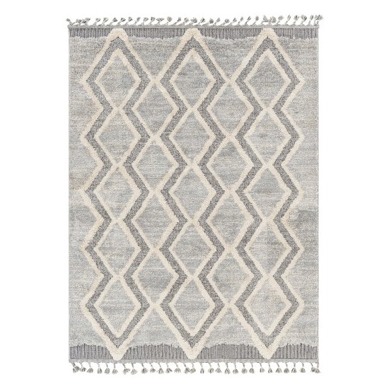 Surya Sousse Sus-2301 Gray Rug 4'2" X 5'7"