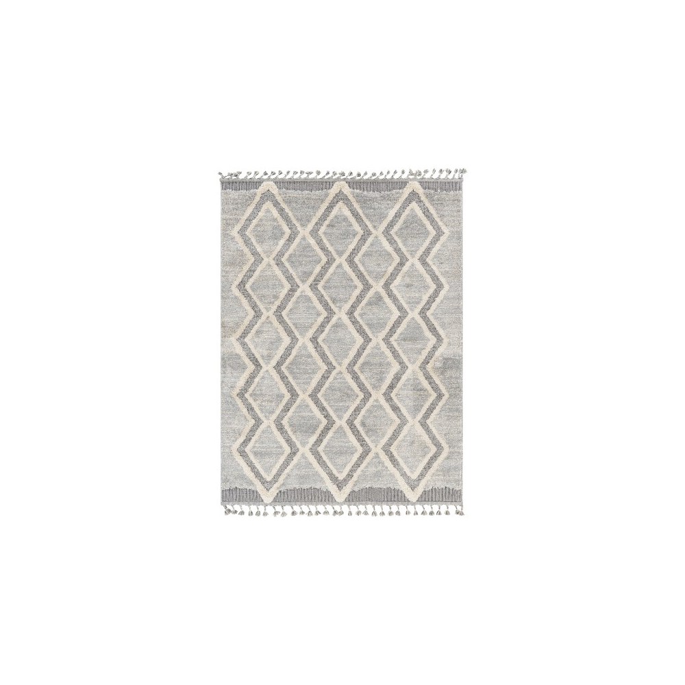 Surya Sousse Sus-2301 Gray Rug 4'2" X 5'7" Surya Sousse Sus-2301 Gray Rug 4'2" X 5'7"