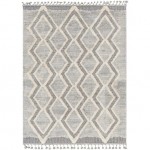 Surya Sousse Sus-2301 Gray Rug 5'6" X 7'3"