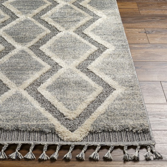 Surya Sousse Sus-2301 Gray Rug 5'6" X 7'3"