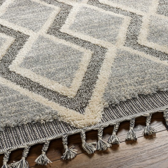 Surya Sousse Sus-2301 Gray Rug 5'6" X 7'3"