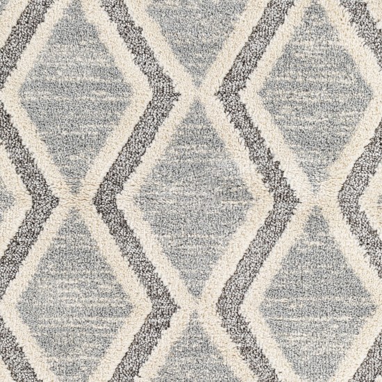 Surya Sousse Sus-2301 Gray Rug 5'6" X 7'3"