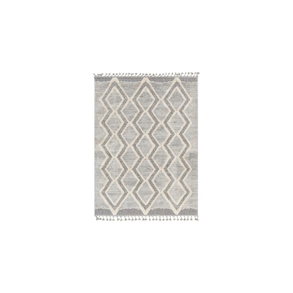 Surya Sousse Sus-2301 Gray Rug 6'10" X 9'