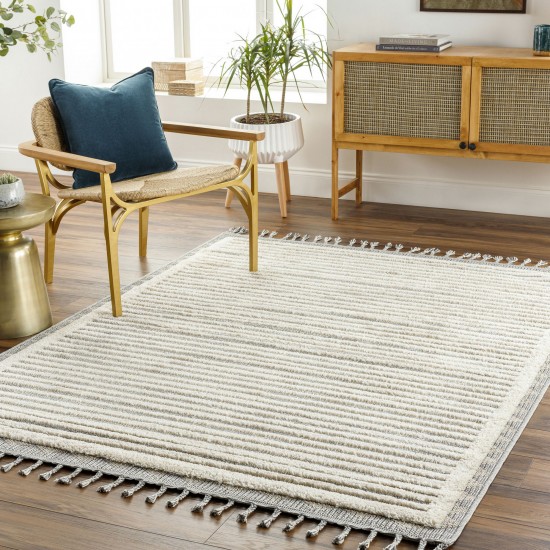 Surya Sousse Sus-2302 Light Beige Rug 2'10" X 10'