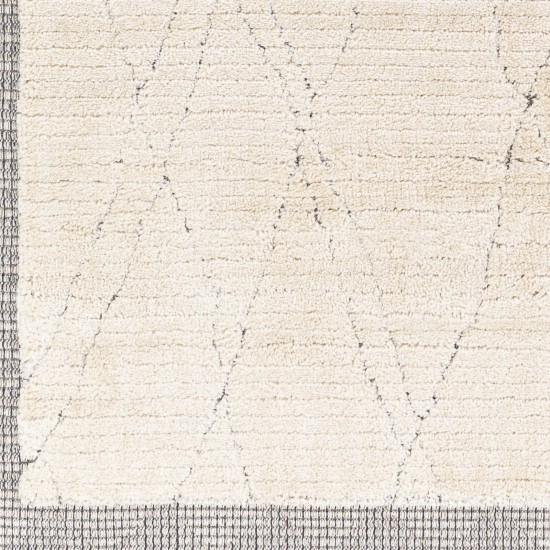 Surya Sousse Sus-2303 Light Beige Rug 2'10" X 10'