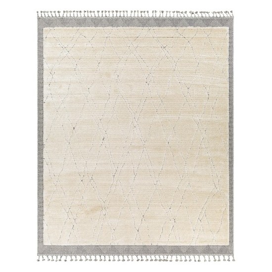 Surya Sousse Sus-2303 Light Beige Rug 4'2" X 5'7"