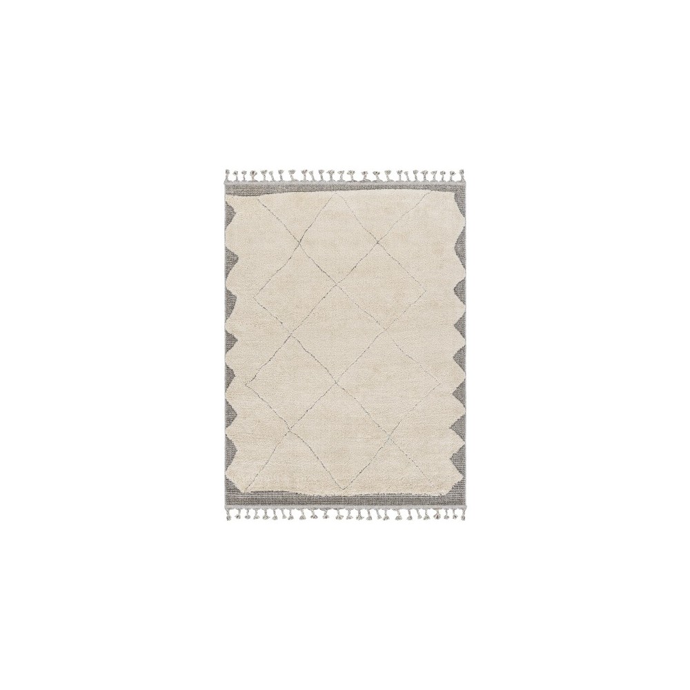 Surya Sousse Sus-2304 Light Beige Rug 5'6" X 7'3"