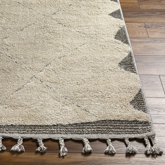 Surya Sousse Sus-2304 Light Beige Rug 5'6" X 7'3"