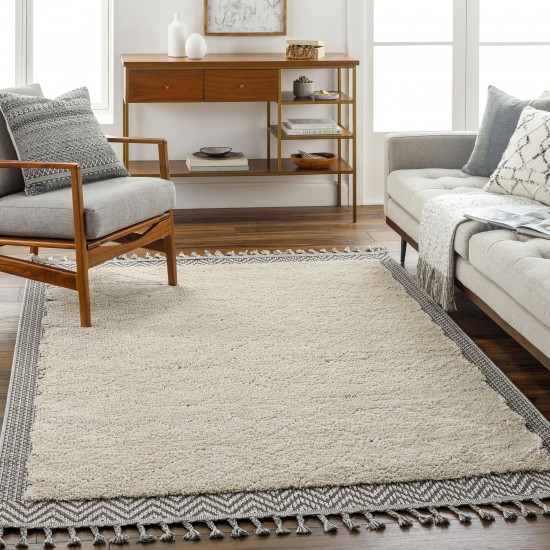 Surya Sousse Sus-2305 Light Beige Rug 2'10" X 10'