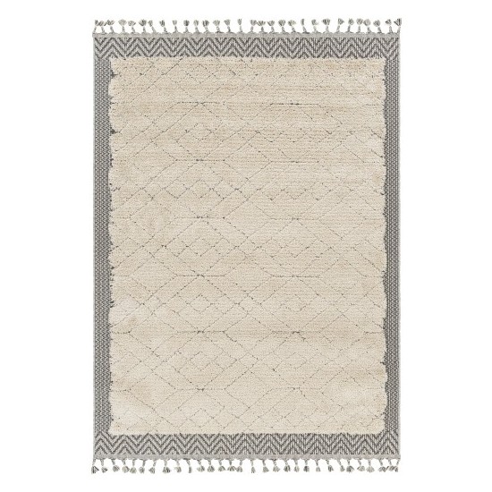 Surya Sousse Sus-2305 Light Beige Rug 4'2" X 5'7"