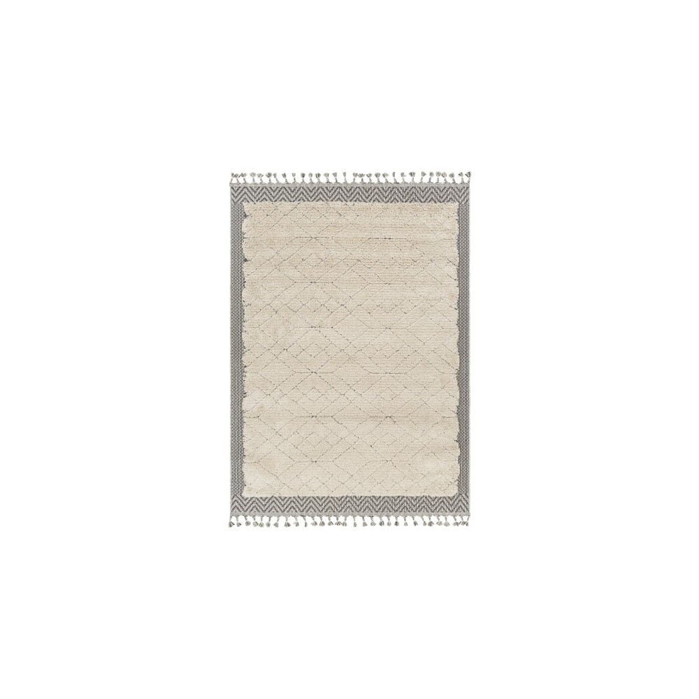 Surya Sousse Sus-2305 Light Beige Rug 4'2" X 5'7" Surya Sousse Sus-2305 Light Beige Rug 4'2" X 5'7"