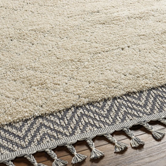 Surya Sousse Sus-2305 Light Beige Rug 4'2" X 5'7"