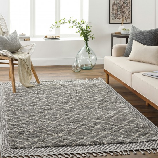 Surya Sousse Sus-2306 Gray Rug 2'10" X 10'