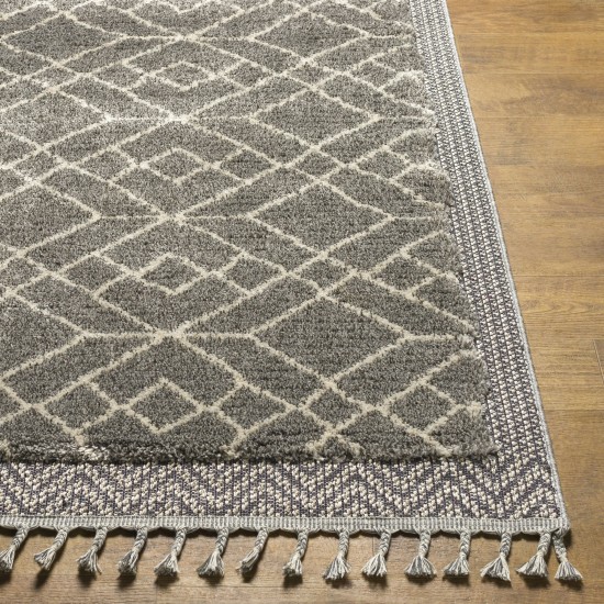 Surya Sousse Sus-2306 Gray Rug 5'6" X 7'3"