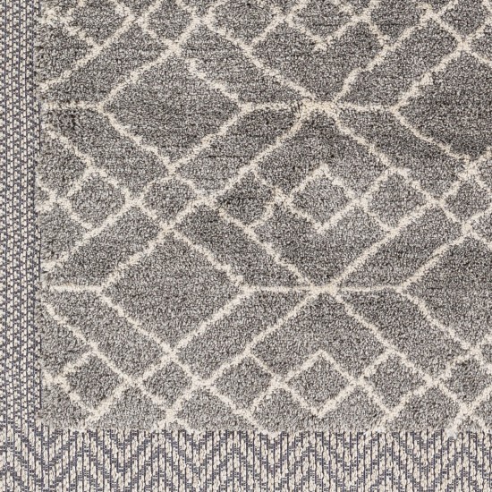 Surya Sousse Sus-2306 Gray Rug 5'6" X 7'3"