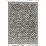 Surya Sousse Sus-2306 Gray Rug 6'10" X 9'