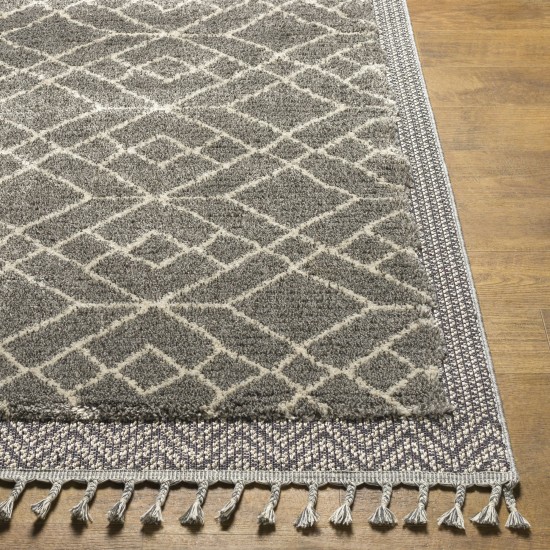 Surya Sousse Sus-2306 Gray Rug 6'10" X 9'