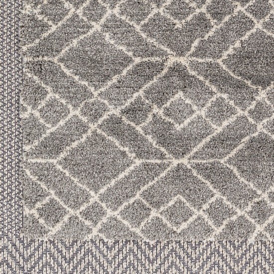 Surya Sousse Sus-2306 Gray Rug 6'10" X 9'