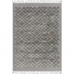 Surya Sousse Sus-2306 Gray Rug 8'2" X 10'